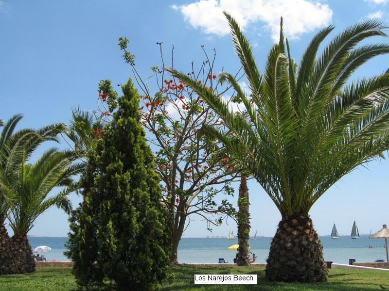Beautiful 1 Bedroom Apartment In Roda, Los Alcazares. Larger Than Average. Exterior photo